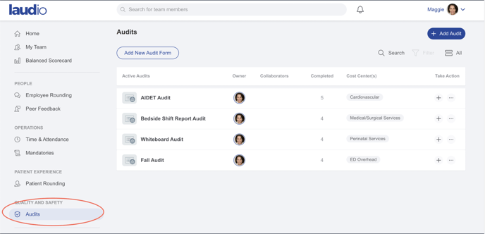 Adding a new Audit type_IMG1